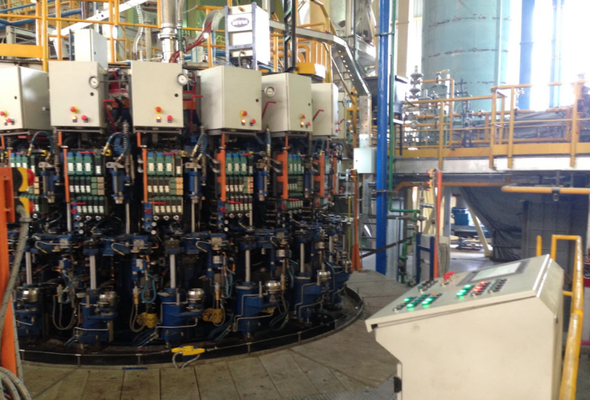 projectvicriliamexico